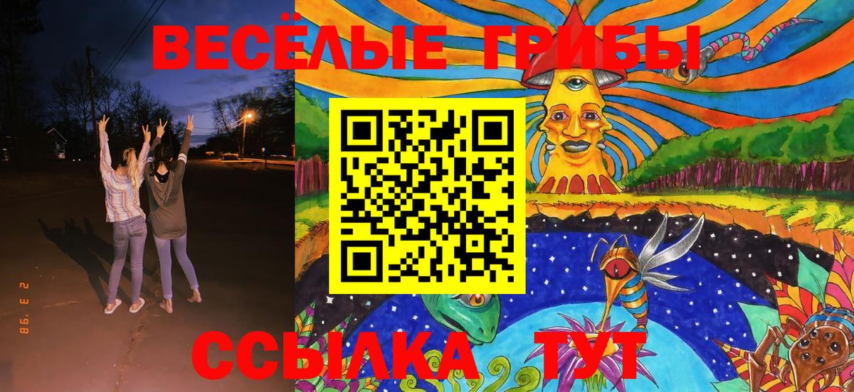 Псилоцибиновые грибы мицелий Железногорск