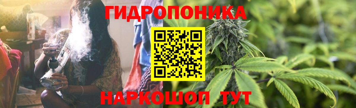 Конопля OG Kush Железногорск